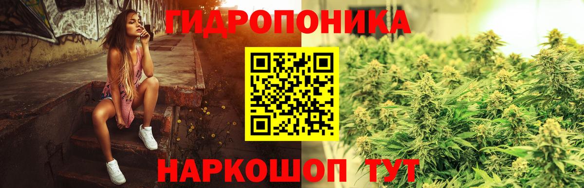 МАРИХУАНА конопля  Вход с VPN  Каннабис SATIVA & INDICA  Бошки Шишки семена  Барнаул 